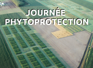 Journée phytoprotection 2016