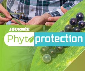  Journée Phytoprotection 2024