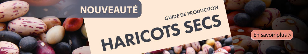 haricot-guide