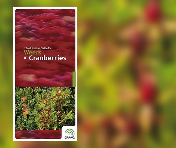 Identification Guide for Weeds in Cranberry