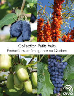 Collection Petits fruits - Productions en émergence au Québec