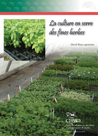 La culture en serre des fines herbes