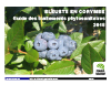 Bleuets en corymbe : Guide des traitements phytosanitaires 2015 (PDF)