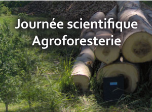 Journée scientifique - Agroforesterie