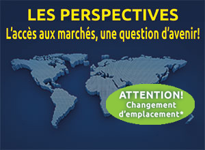 Les Perspectives 2013