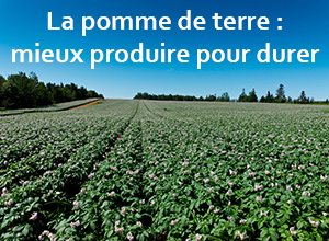 Colloque sur la pomme de terre