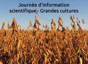 Rediffusion - Journée d'information scientifique - Grandes cultures