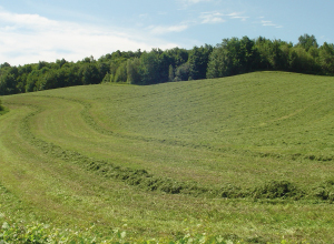 Colloque sur les plantes fourragères