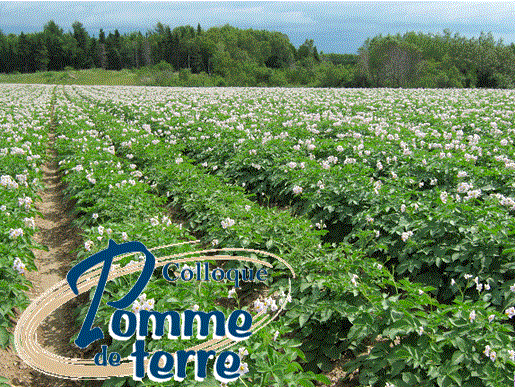 Colloque sur la pomme de terre 2015