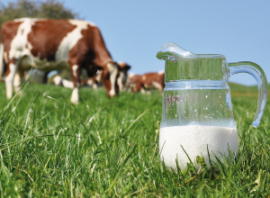 Symposium sur les bovins laitiers 2015