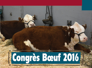 Congrès Boeuf 2016