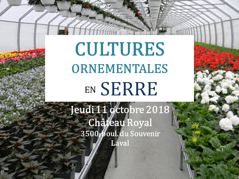 Journée d'information sur les cultures ornementales en serre