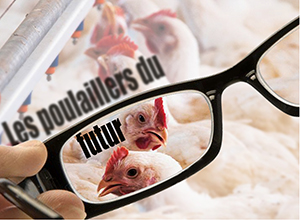 Les poulaillers du futur