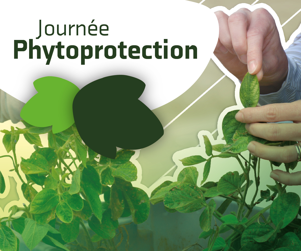 Journée phytoprotection 2019