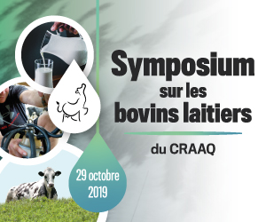 Symposium sur les bovins laitiers 2019