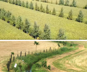 Tournée agroforesterie – Première édition, région Montérégie