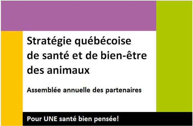 Assemblée annuelle des partenaires de la Stratégie québécoise de santé et de bien-être des animaux