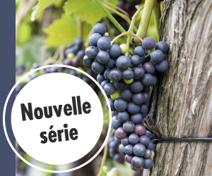 Série Webinaires vigne et vin - 2020