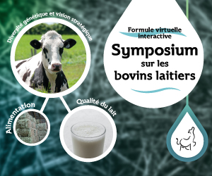 Symposium sur les bovins laitiers 2020