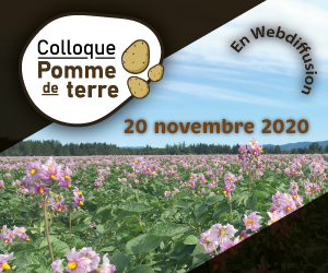 Webinaire - Rendez-vous annuel sur la pomme de terre