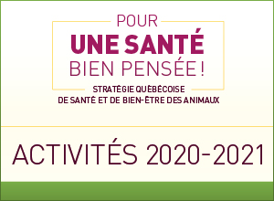 Assemblée annuelle des partenaires de la Stratégie québécoise de santé et de bien-être des animaux