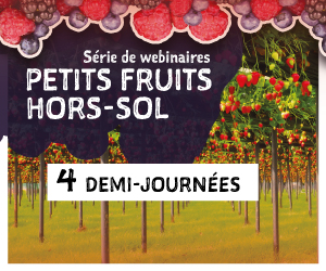 Série de webinaires - Petits fruits hors-sol