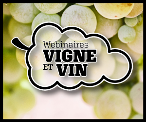 ERREUR - Série webinaires vigne et vin 