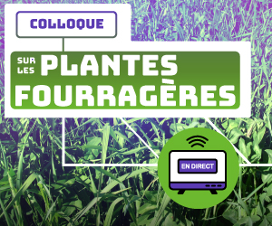 Colloque sur les plantes fourragères 2022