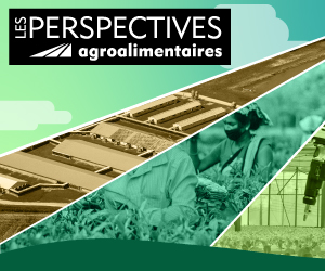 Les Perspectives agroalimentaires 2022