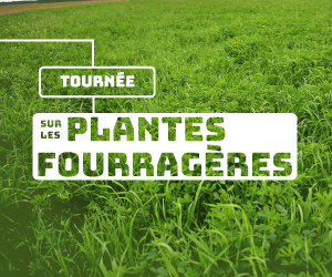 Tournée sur les plantes fourragères 2022