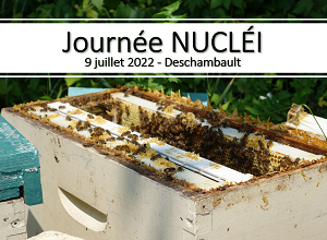 Journée NUCLÉI</br>Stratégies de renouvellement du cheptel apicole - maillage et information