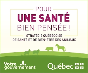 Assemblée annuelle des partenaires de la Stratégie québécoise de santé et de bien-être des animaux