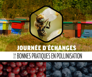 Journée d’échanges sur les bonnes pratiques en pollinisation