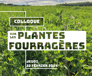 Colloque sur les plantes fourragères 2024