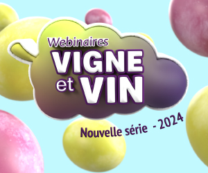 Série Webinaires Vigne et vin - 2024