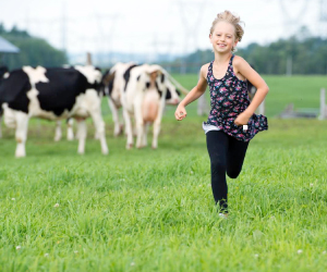 Ensemble pour une mise en marché durable et prospère du secteur bioalimentaire et de la forêt privée