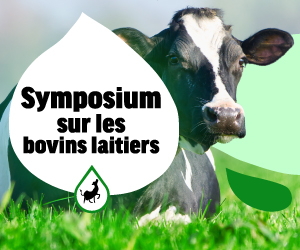 Symposium sur les bovins laitiers 2025