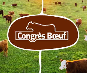 Congrès boeuf 2025