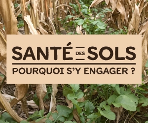 Santé des sols - Pourquoi s'y engager?