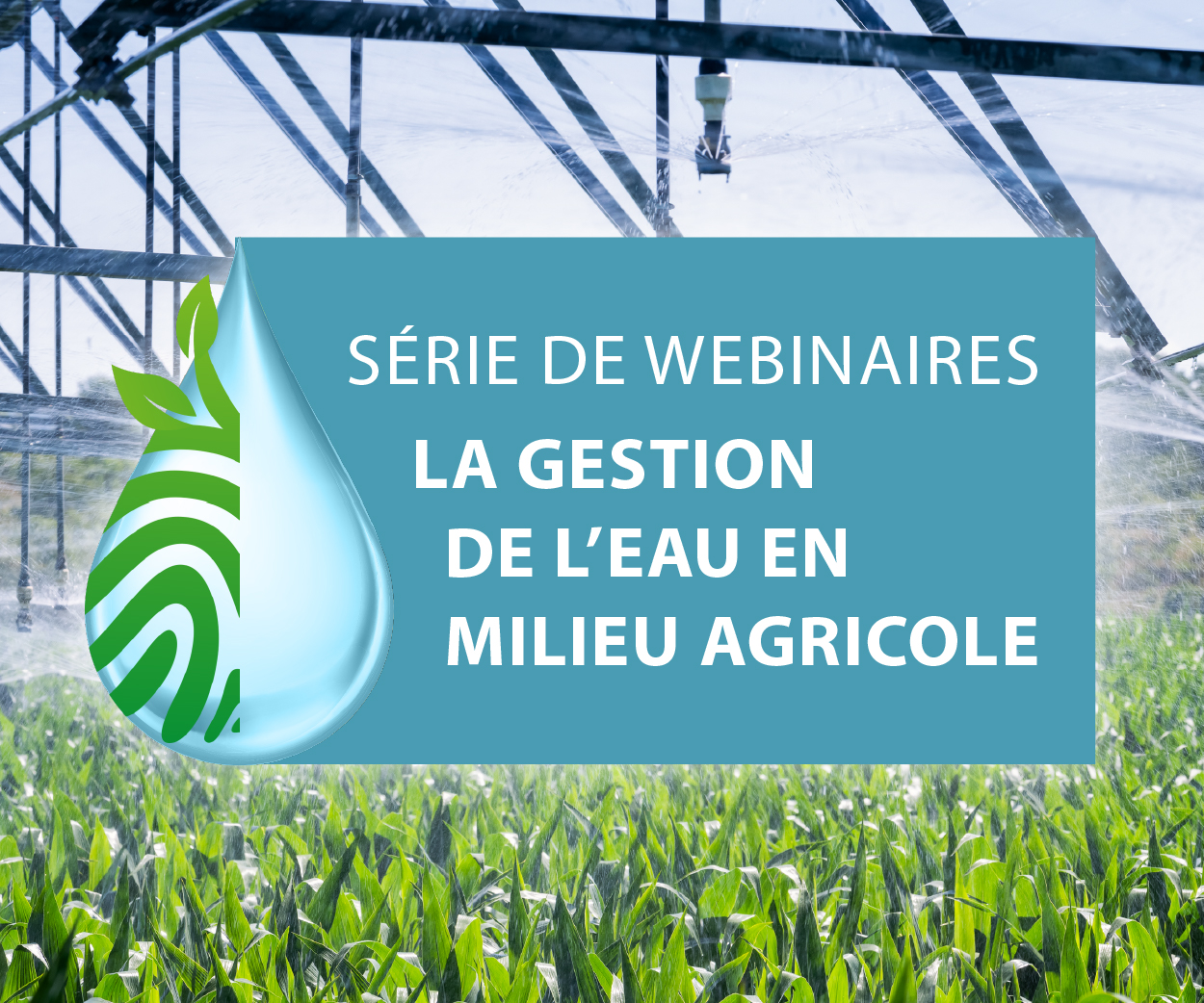 Activités de transfert de connaissances sur la gestion de l'eau en milieu agricole