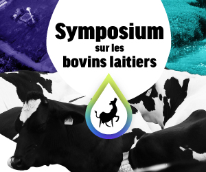Symposium sur les bovins laitiers 2022