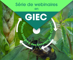  Série de webinaires en GIEC
