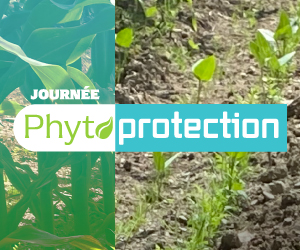  Journée phytoprotection 2023