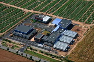 Comite Nord Plants de pomme de terre