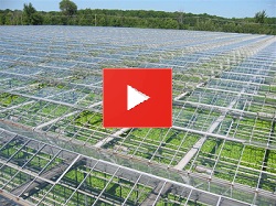 collection vidéo Quand serriculture rime avec efficacité, compétitivité et opportunités 