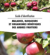 Maladies, ravageurs et organismes bénéfiques des arbres fruitiers