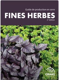 La culture en serre des fines herbes