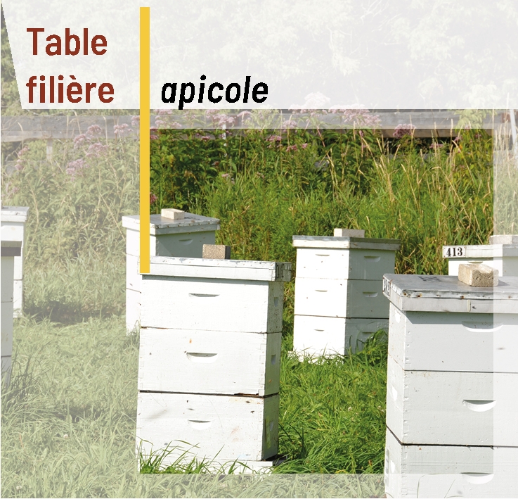 Table filière apicole