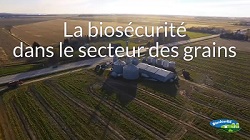 La biosécurité dans le secteur des grains
