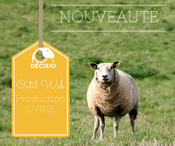 DECISIO : Outil Web en production ovine